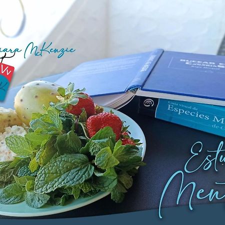 Estudio Menta Tacoronte Exteriér fotografie